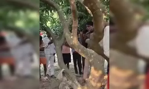 बड़े भाई की छोटे ने की हत्या, फिर फांसी लगाकर दे दी जान? कारण चौंका देगा!