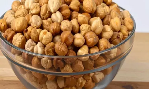 महंगे प्रोटीन पाउडर का अच्छा विकल्प है भुना चना, सेवन से मिलेंगे कई लाभ