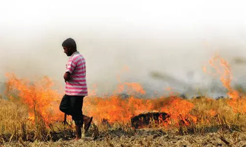 पराली जलाने से रोकने के लिए ईंट भट्टों को धान की पराली के पेलेट इस्तेमाल करने का आदेश पराली जलाने से रोकने के लिए ईंट भट्टों को धान की पराली के पेलेट इस्तेमाल करने का आदेश