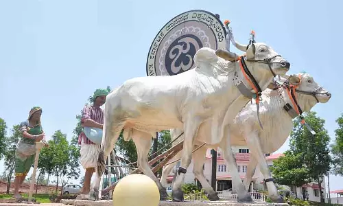 फोकलोर यूनिवर्सिटी: परीक्षा के तीन घंटे के अंदर रिजल्ट फोकलोर यूनिवर्सिटी: परीक्षा के तीन घंटे के अंदर रिजल्ट