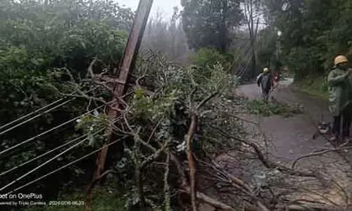 Cuddalore के सथमंगलम के पास बिजली का तार गिरने से तीन लोगों की मौत हो गई Cuddalore के सथमंगलम के पास बिजली का तार गिरने से तीन लोगों की मौत हो गई