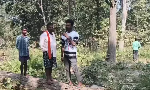 सागौन पेड़ों की कटाई, तस्करों और वन विभाग के बीच मिलीभगत का आरोप सागौन पेड़ों की कटाई, तस्करों और वन विभाग के बीच मिलीभगत का आरोप