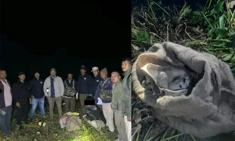 Assam: काजीरंगा में बाघ की हड्डियां बरामद, पांच हिरासत में