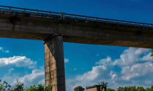 रायगढ़ के श्मशान घाट पर मधुमक्खियों के हमले में छह लोग गंभीर रूप से घायल रायगढ़ के श्मशान घाट पर मधुमक्खियों के हमले में छह लोग गंभीर रूप से घायल