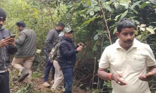 ओडिशा के नयागढ़ में खाली पड़े कुएं में हाथी का बच्चा मृत मिला