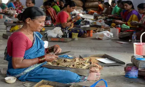 Labour codes 2025: बीड़ी, सिगार और प्लांटेशन वर्कर्स को नई सैलरी और सेफ्टी बेनिफिट्स मिलेंगे Labour codes 2025: बीड़ी, सिगार और प्लांटेशन वर्कर्स को नई सैलरी और सेफ्टी बेनिफिट्स मिलेंगे