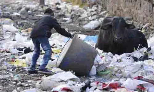 Greater Noida में बल्क वेस्ट में लापरवाही अथॉरिटी की जांच के दायरे में