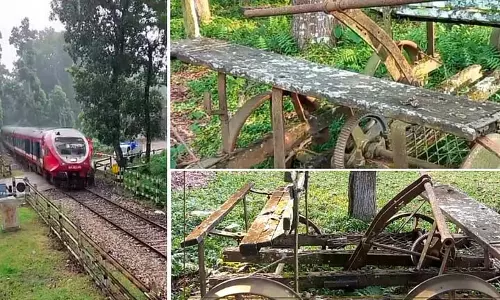 Gorumara में जंगल सफारी: ट्रॉली की सवारी खुशनुमा यादें लेकर आती है