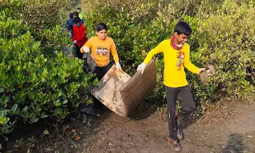 Navi Mumbai: मैंग्रोव सफाई अभियान में 170+ वॉलंटियर्स ने 2 टन कचरा हटाया Navi Mumbai: मैंग्रोव सफाई अभियान में 170+ वॉलंटियर्स ने 2 टन कचरा हटाया
