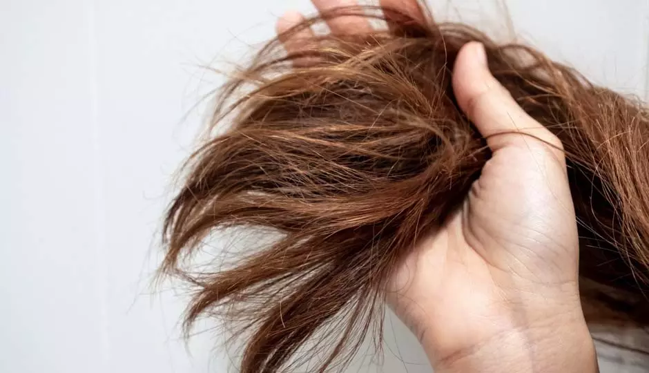 Hair Care: स्प्लिट एंड्स का इलाज करने के 8 तरीके Hair Care: स्प्लिट एंड्स का इलाज करने के 8 तरीके