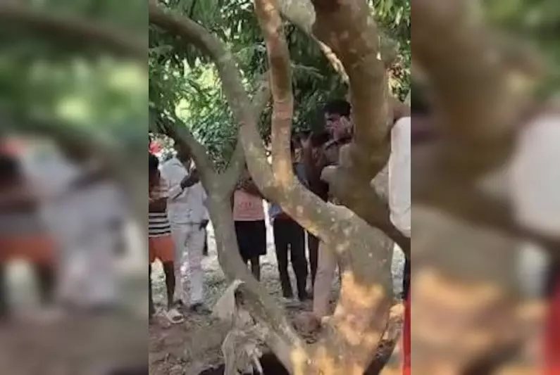 बड़े भाई की छोटे ने की हत्या, फिर फांसी लगाकर दे दी जान? कारण चौंका देगा! बड़े भाई की छोटे ने की हत्या, फिर फांसी लगाकर दे दी जान? कारण चौंका देगा!
