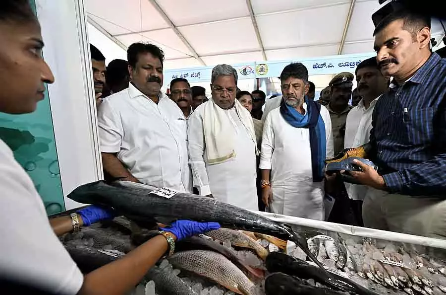 फिशरीज़ यूनिवर्सिटी बनाने के लिए तैयार: CM Siddaramaiah फिशरीज़ यूनिवर्सिटी बनाने के लिए तैयार: CM Siddaramaiah