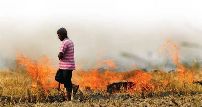 पराली जलाने से रोकने के लिए ईंट भट्टों को धान की पराली के पेलेट इस्तेमाल करने का आदेश पराली जलाने से रोकने के लिए ईंट भट्टों को धान की पराली के पेलेट इस्तेमाल करने का आदेश