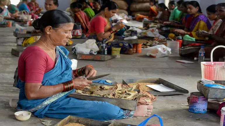 Labour codes 2025: बीड़ी, सिगार और प्लांटेशन वर्कर्स को नई सैलरी और सेफ्टी बेनिफिट्स मिलेंगे Labour codes 2025: बीड़ी, सिगार और प्लांटेशन वर्कर्स को नई सैलरी और सेफ्टी बेनिफिट्स मिलेंगे