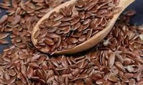 Flax seeds: अलसी के बीज रेशमी मुलायम बाल और मजबूत जड़ें देंगे Flax seeds: अलसी के बीज रेशमी मुलायम बाल और मजबूत जड़ें देंगे