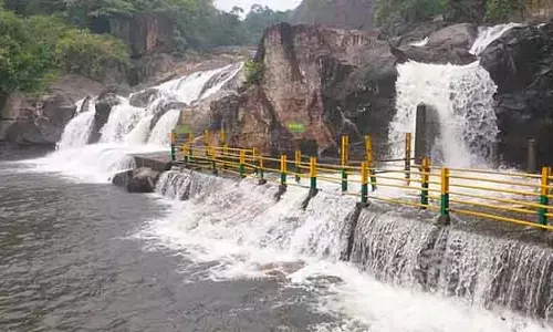 धान के खेतों में भारी बारिश की गूंज : बांधों में जलस्तर बढ़ा
