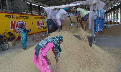 Karnal धान खरीद घोटाला: दो मिलों के सात बैंक खाते फ्रीज