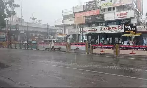 धान में भारी बारिश: हेल्पलाइन नंबर घोषित