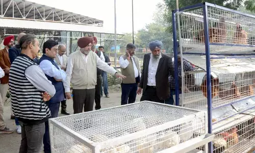 Ludhiana: पशुपालन मंत्री के निजी सचिव ने पशु चिकित्सालय का दौरा किया