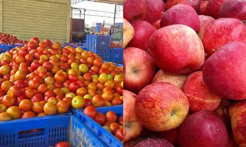 टमाटर की कीमत बढ़कर ₹60 प्रति किलो हो गई; सेब की कीमत घटकर ₹100 प्रति किलो हो गई टमाटर की कीमत बढ़कर ₹60 प्रति किलो हो गई; सेब की कीमत घटकर ₹100 प्रति किलो हो गई
