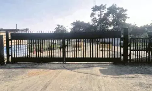 Jharsuguda एप्सिलॉन कार्बन पर वन भूमि हड़पने के मामले में NGT का केस