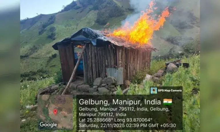 Manipur: NCB ने कांगपोकपी में 41 एकड़ में लगी अवैध अफीम की खेती नष्ट की