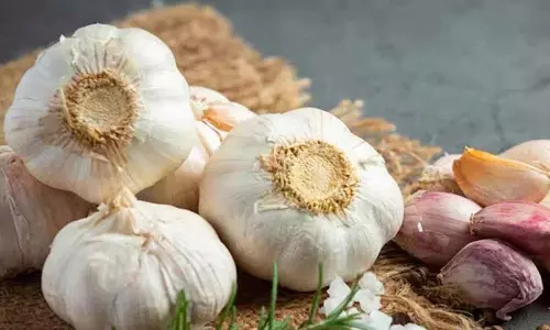 क्या आप जानते हैं कि लहसुन के कितने स्वास्थ्य लाभ हैं?