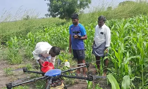 Tekkalakot: ड्रोन से ऑर्गेनिक खेती में मदद मिली Tekkalakot: ड्रोन से ऑर्गेनिक खेती में मदद मिली