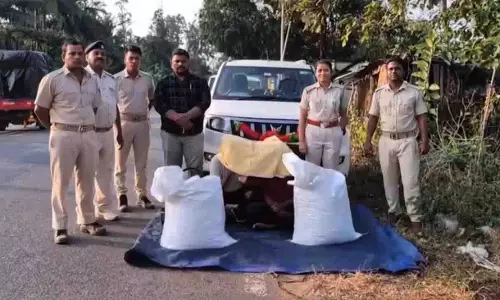 गंजम में चार पहिया वाहन से 50 किलो गांजा जब्त, दो लोग गिरफ्तार