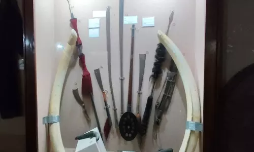 Assam में लाचित बोरफुकन दिवस: हेंगडांग तलवार ने पर्यटकों को आकर्षित किया Assam में लाचित बोरफुकन दिवस: हेंगडांग तलवार ने पर्यटकों को आकर्षित किया