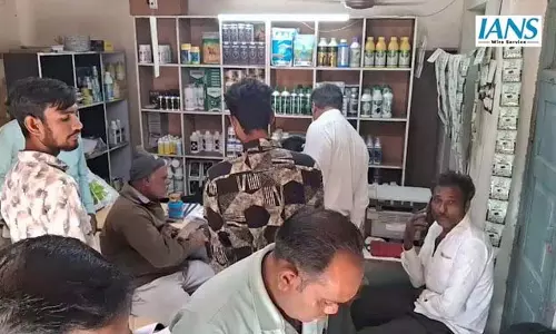 बोटाद में बेमौसम बारिश से फसलें बर्बाद, 10 दिनों में 57,000 किसानों ने मांगी सरकारी मदद बोटाद में बेमौसम बारिश से फसलें बर्बाद, 10 दिनों में 57,000 किसानों ने मांगी सरकारी मदद