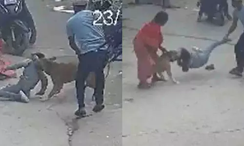 Delhi के प्रेमनगर में पिटबुल ने 6 साल के बच्चे का कान काट लिया Delhi के प्रेमनगर में पिटबुल ने 6 साल के बच्चे का कान काट लिया