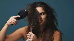 Hair Care: इन मसालों से बदल जाएगी रूखे सूखे बालों की दशा Hair Care: इन मसालों से बदल जाएगी रूखे सूखे बालों की दशा