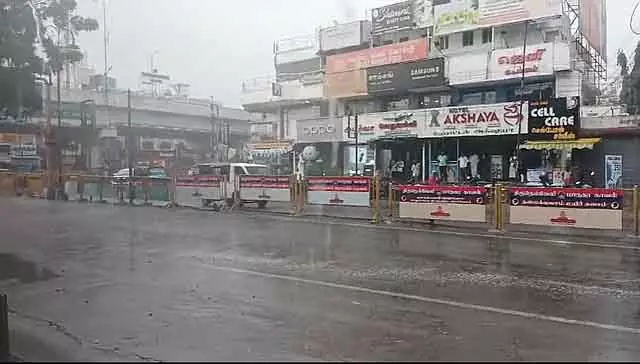 धान में भारी बारिश: हेल्पलाइन नंबर घोषित धान में भारी बारिश: हेल्पलाइन नंबर घोषित