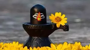 Somwar Remedy: सोमवार को भोले बाबा को करना है प्रसन्न तो घर बैठे कर लें यह काम Somwar Remedy: सोमवार को भोले बाबा को करना है प्रसन्न तो घर बैठे कर लें यह काम