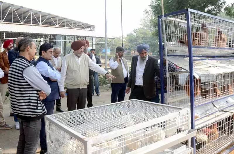 Ludhiana: पशुपालन मंत्री के निजी सचिव ने पशु चिकित्सालय का दौरा किया Ludhiana: पशुपालन मंत्री के निजी सचिव ने पशु चिकित्सालय का दौरा किया