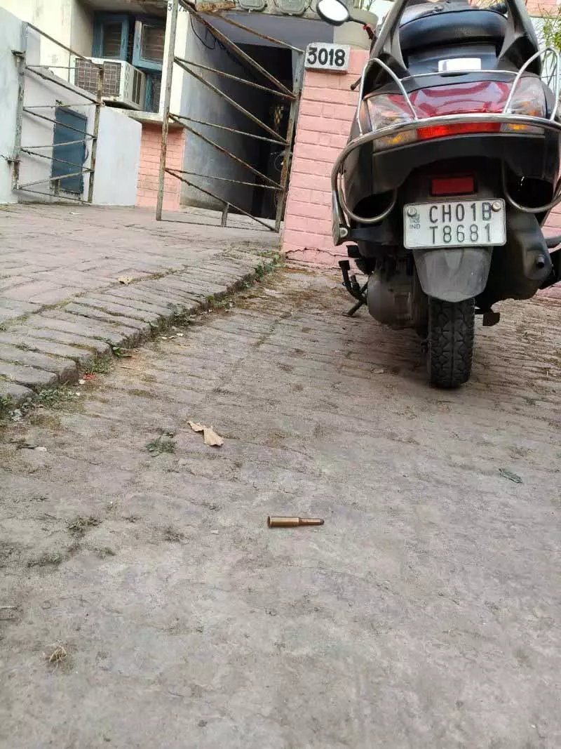 Chandigarh: सेक्टर 29 हाउसिंग कॉलोनी में एक घर के बाहर 4 जिंदा कारतूस मिले Chandigarh: सेक्टर 29 हाउसिंग कॉलोनी में एक घर के बाहर 4 जिंदा कारतूस मिले