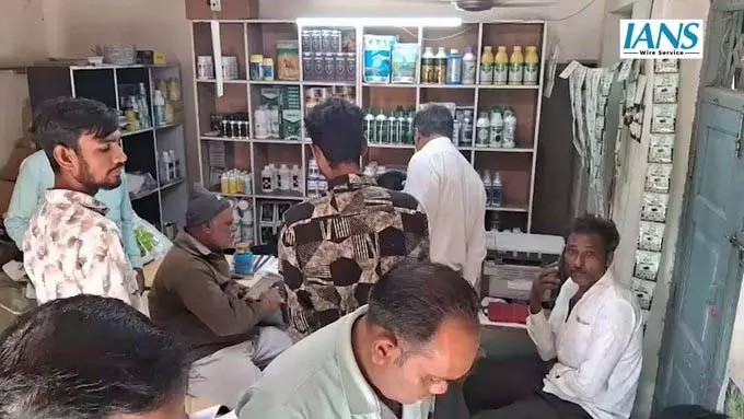 बोटाद में बेमौसम बारिश से फसलें बर्बाद, 10 दिनों में 57,000 किसानों ने मांगी सरकारी मदद बोटाद में बेमौसम बारिश से फसलें बर्बाद, 10 दिनों में 57,000 किसानों ने मांगी सरकारी मदद
