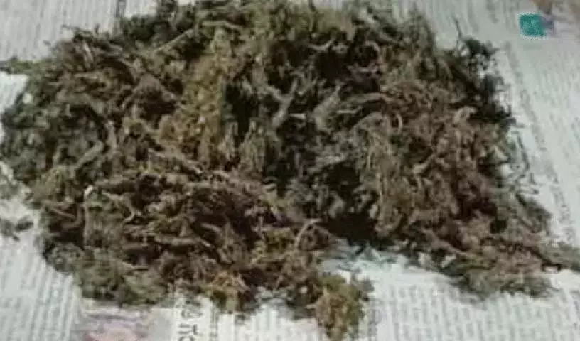 Machharam में एक किलो 400 ग्राम गांजा जब्त Machharam में एक किलो 400 ग्राम गांजा जब्त