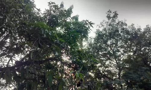ठंड फिर बढ़ी, प्रदेश के कई जिलों में शीतलहर
