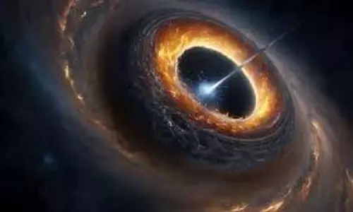 Black Hole: ब्लैक होल में जाने पर ह्यूमन बॉडी पर और क्या-क्या होगा असर Black Hole: ब्लैक होल में जाने पर ह्यूमन बॉडी पर और क्या-क्या होगा असर