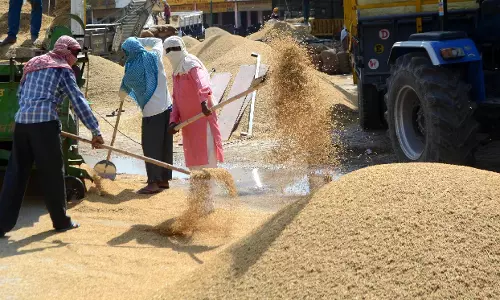 SBI: श्रम सुधारों से रोजगार में बड़ी बढ़त, 77 लाख नई नौकरियां बनने का अनुमान