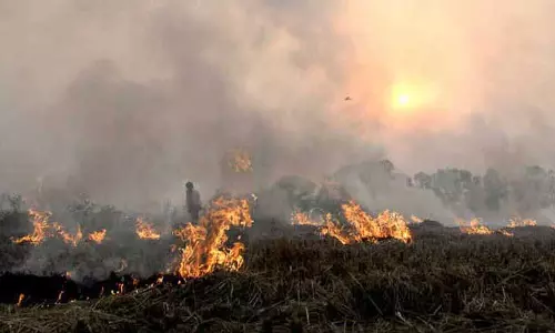 Punjab: मानसा में पराली जलाने में भारी गिरावट दर्ज की गई Punjab: मानसा में पराली जलाने में भारी गिरावट दर्ज की गई