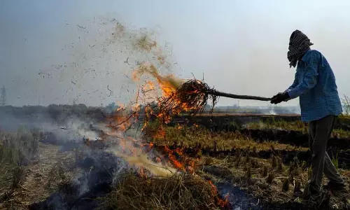 Punjab: सीज़न खत्म होने के करीब, खेतों में आग लगने की घटनाएं 50% तक कम हुईं Punjab: सीज़न खत्म होने के करीब, खेतों में आग लगने की घटनाएं 50% तक कम हुईं