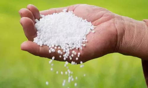 Telangana में यूरिया की कमी के चलते पालकुर्थी में किसान फिर से लाइन में लगे Telangana में यूरिया की कमी के चलते पालकुर्थी में किसान फिर से लाइन में लगे