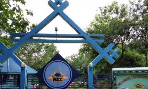 धर्मेंद्र प्रधान ने Sambalpur चिड़ियाघर में बाघ बाड़े की नींव रखी
