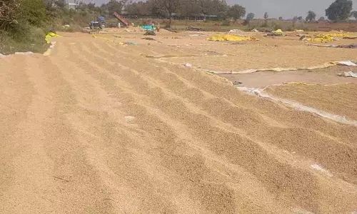 अनाज खरीद केंद्रों पर सुविधाओं की कमी से किसानों को परेशानी