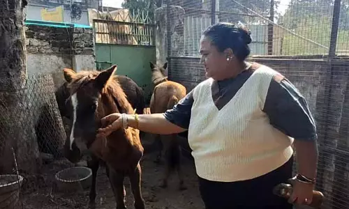 550 दिव्यांग जानवरों को पनाह देने वाली Hakkal village की हखू फाउंडेशन सरकारी मदद के बिना संघर्ष कर रही 550 दिव्यांग जानवरों को पनाह देने वाली Hakkal village की हखू फाउंडेशन सरकारी मदद के बिना संघर्ष कर रही