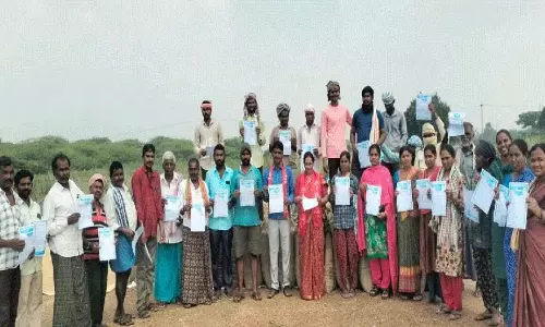 चावल मिलों को अनाज कलेक्शन का टारगेट बढ़ाना चाहिए: Kanda Pramila चावल मिलों को अनाज कलेक्शन का टारगेट बढ़ाना चाहिए: Kanda Pramila