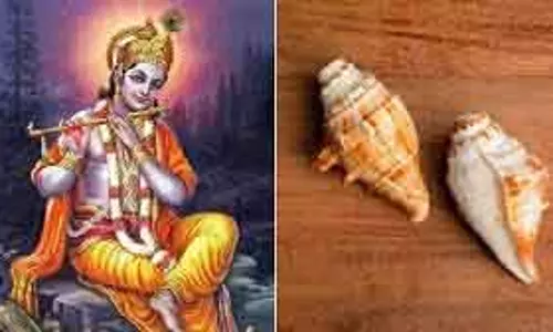 Krishna का पंचजंय शंख: अधर्म बढ़ने पर धर्म की पुकार Krishna का पंचजंय शंख: अधर्म बढ़ने पर धर्म की पुकार